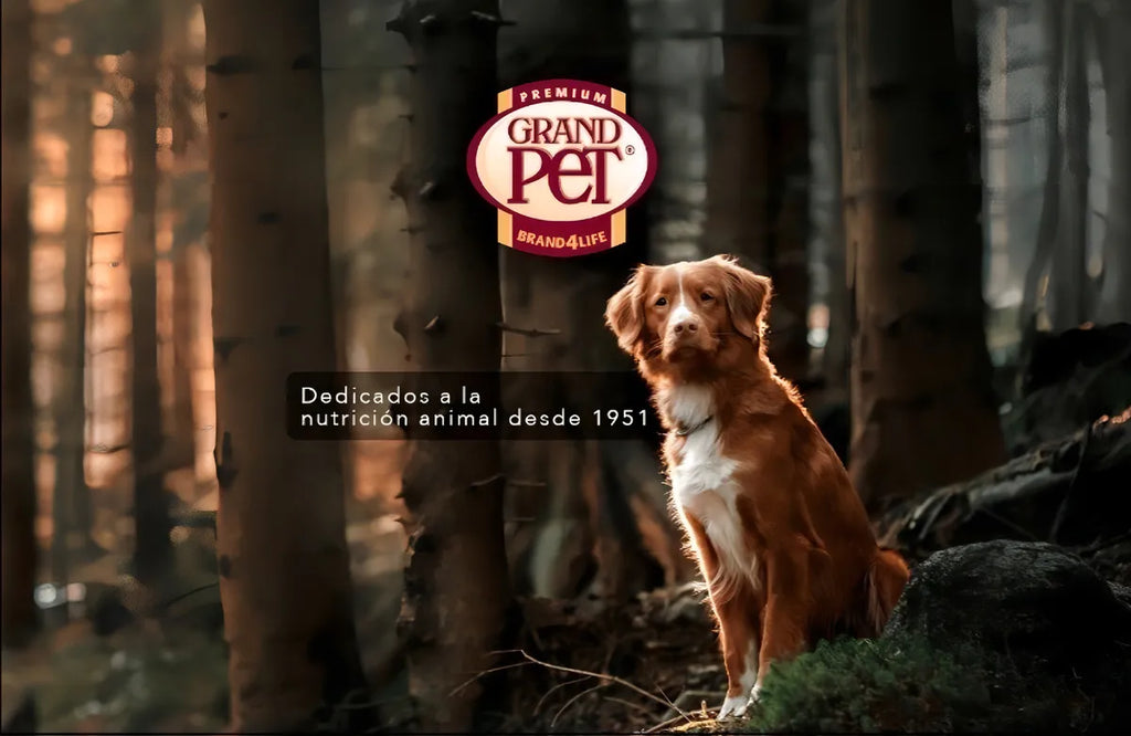 Alimento Para Gato Adulto Kisha 1.5kg (3.3 Lb) Grand Pet