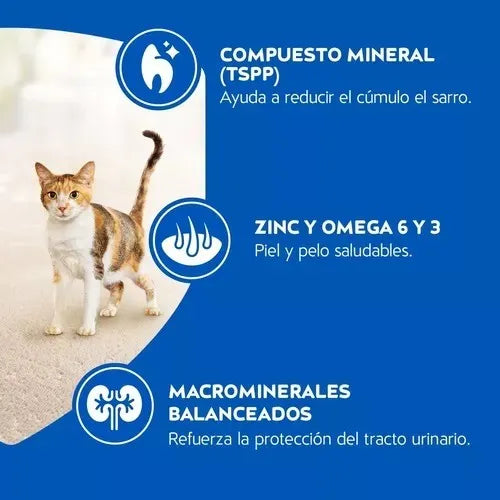 Alimento Gato Purina Cat Chow Salmón, Carne Y Pollo 1.5 Kg