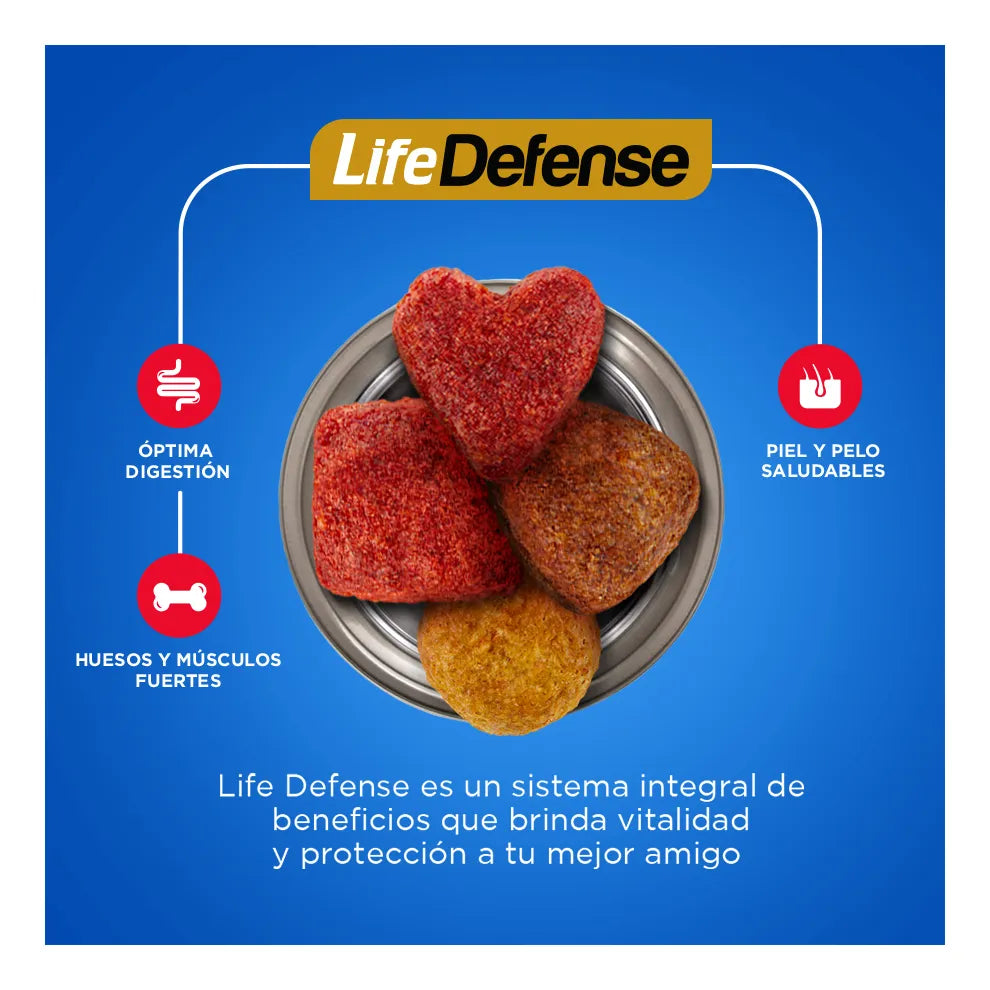 Alimento Seco Para Perro Ganador Adulto Razas Medianas Y Grandes 20kg