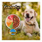 Alimento Seco Para Perro Ganador Adulto Razas Medianas Y Grandes 20kg