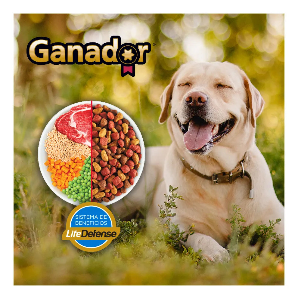 Alimento Seco Para Perro Ganador Adulto Razas Medianas Y Grandes 20kg