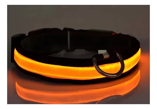 Croquetas Perro Adulto Benny 25 Kg 22% Proteína + Collar G