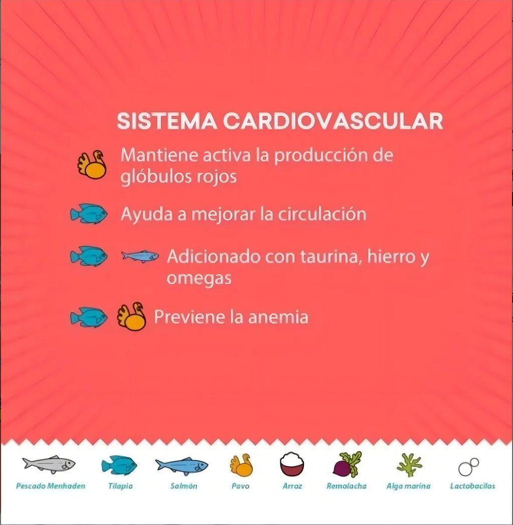 Alimento Para Gato Adulto Kisha 1.5kg (3.3 Lb) Grand Pet