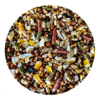 Alimento Semilla Gallo Mantenimiento 10kg Nu-3 15% Proteína