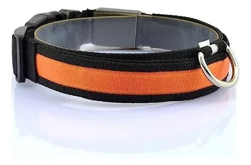 Croquetas Perro Adulto Benny 25 Kg 22% Proteína + Collar G