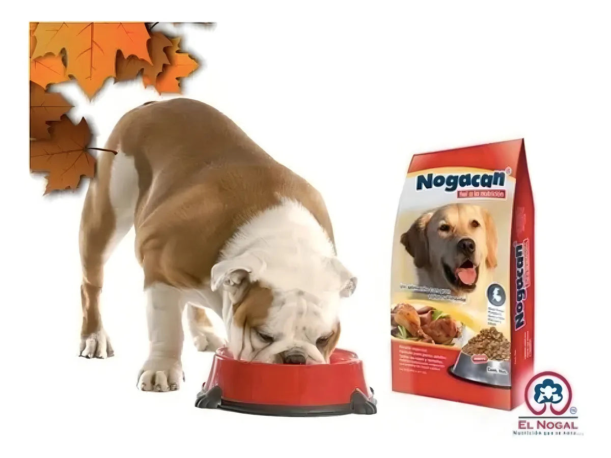 Croqueta Para Perro Nogacan 25 Kg