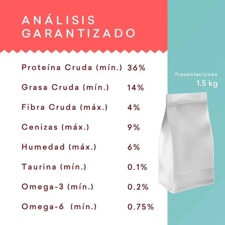 Alimento Premium Gato Kisha Kitten 1.5kg Salmón (2 Bolsas)