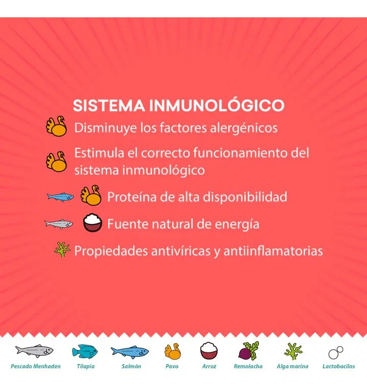 Alimento Premium Gato Kisha Kitten 1.5kg Salmón (2 Bolsas)