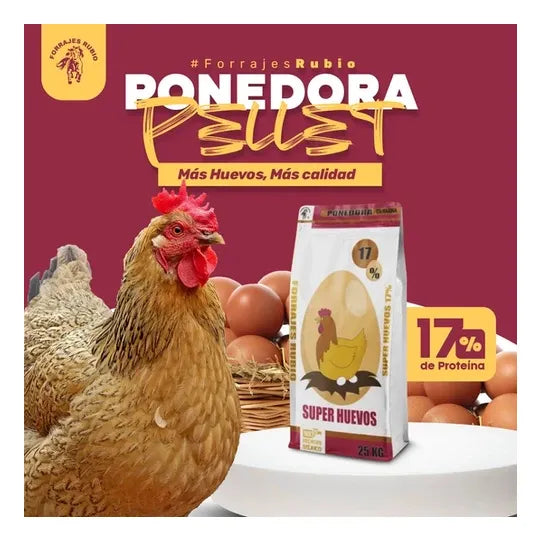 Alimento Postura Gallina Ponedora 25kg Aves Pellet 17% Rubio