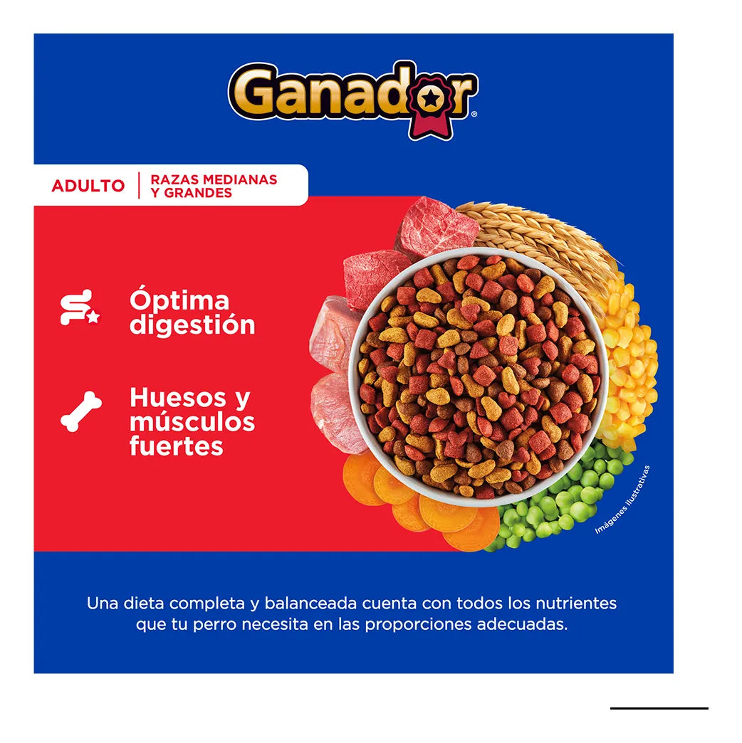 Alimento Seco Para Perro Ganador Adulto Razas Medianas Y Grandes 20kg