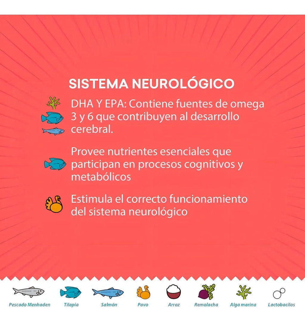 Alimento Gato Kisha Kitten 1.5kg Grand Pet 3.3lb Premium