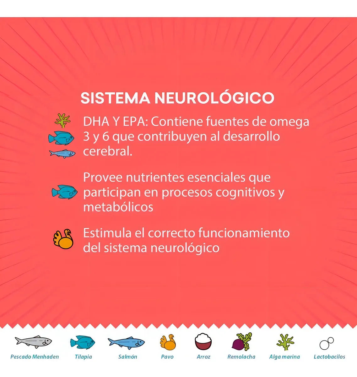 Alimento Gato Kisha Kitten 1.5kg Grand Pet 3.3lb Premium