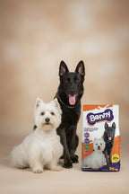 Croquetas Perro Adulto Benny 25 Kg 22% Proteína + Collar G