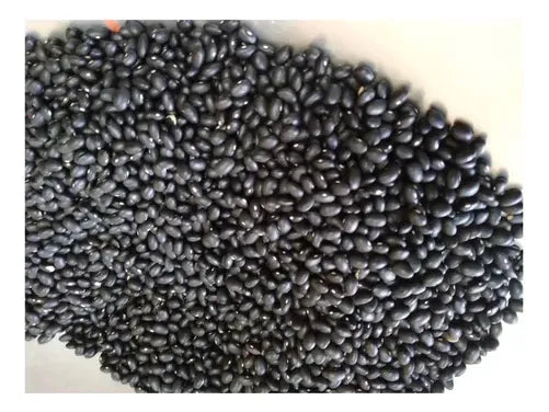 Frijol Negro 10 Kg