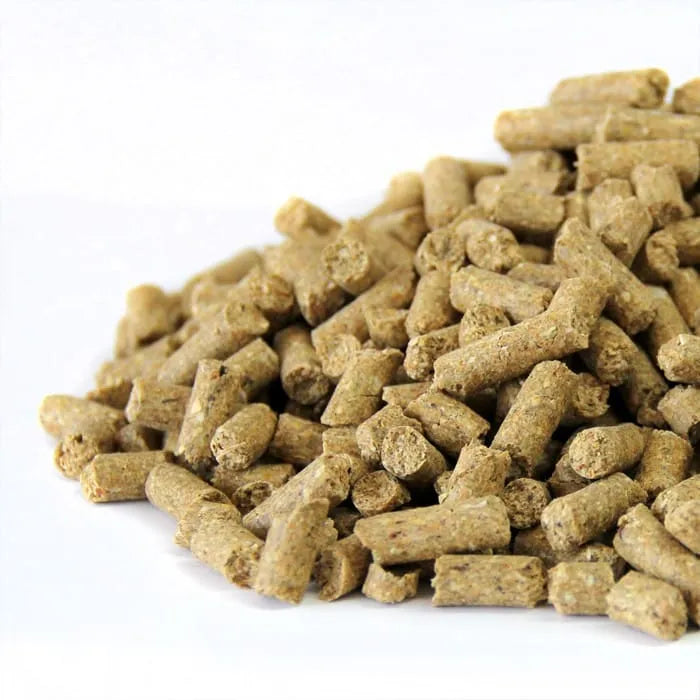 Alimento Conejos Pellets 5kg 15% Proteína Conejina Nogal