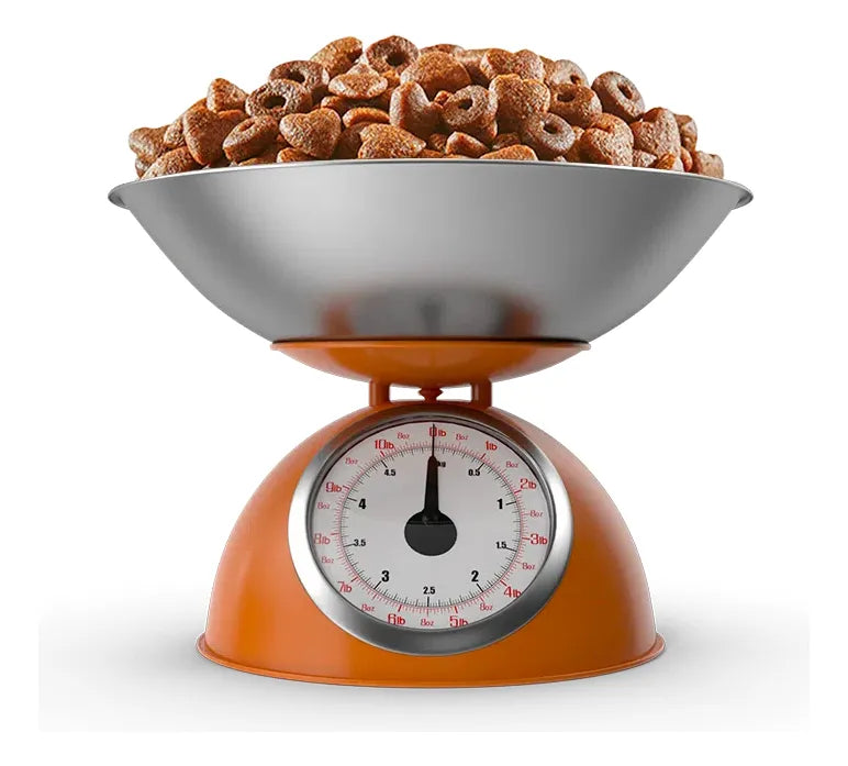 Minino Plus Gato Adulto 10 Kg 32 % Proteína + 2 Churus
