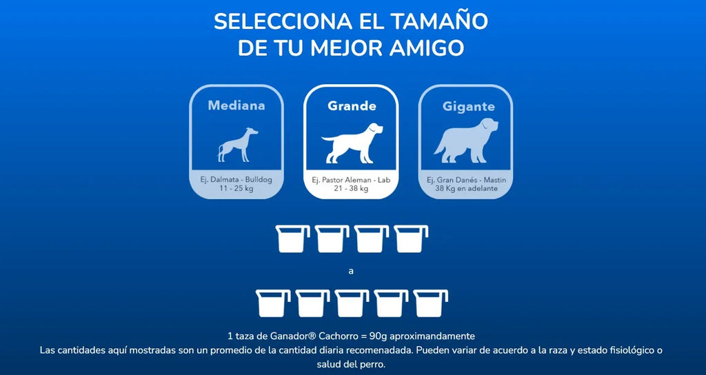 Croquetas Perro Adulto Ganador Duo 20kg 21% Proteina Jumbo