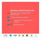 Alimento Gato Adulto Kisha 1.5 Kg (2 Bolsas) Salmon Croquet