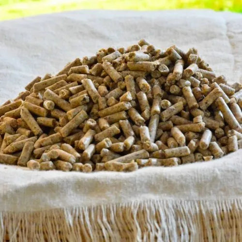 Alimento Postura Gallina Ponedora 10kg Forrajes Rubio Pellet