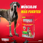 Croquetas Perro Adulto Poder Canino 20kg Carne -16% Proteína