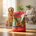 Alimento Croquetas Para Perro Nogacan Adulto Bolsa 4 Kg
