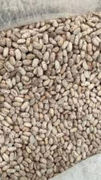 Frijol Pinto Saltillo Costal Con 25 Kg