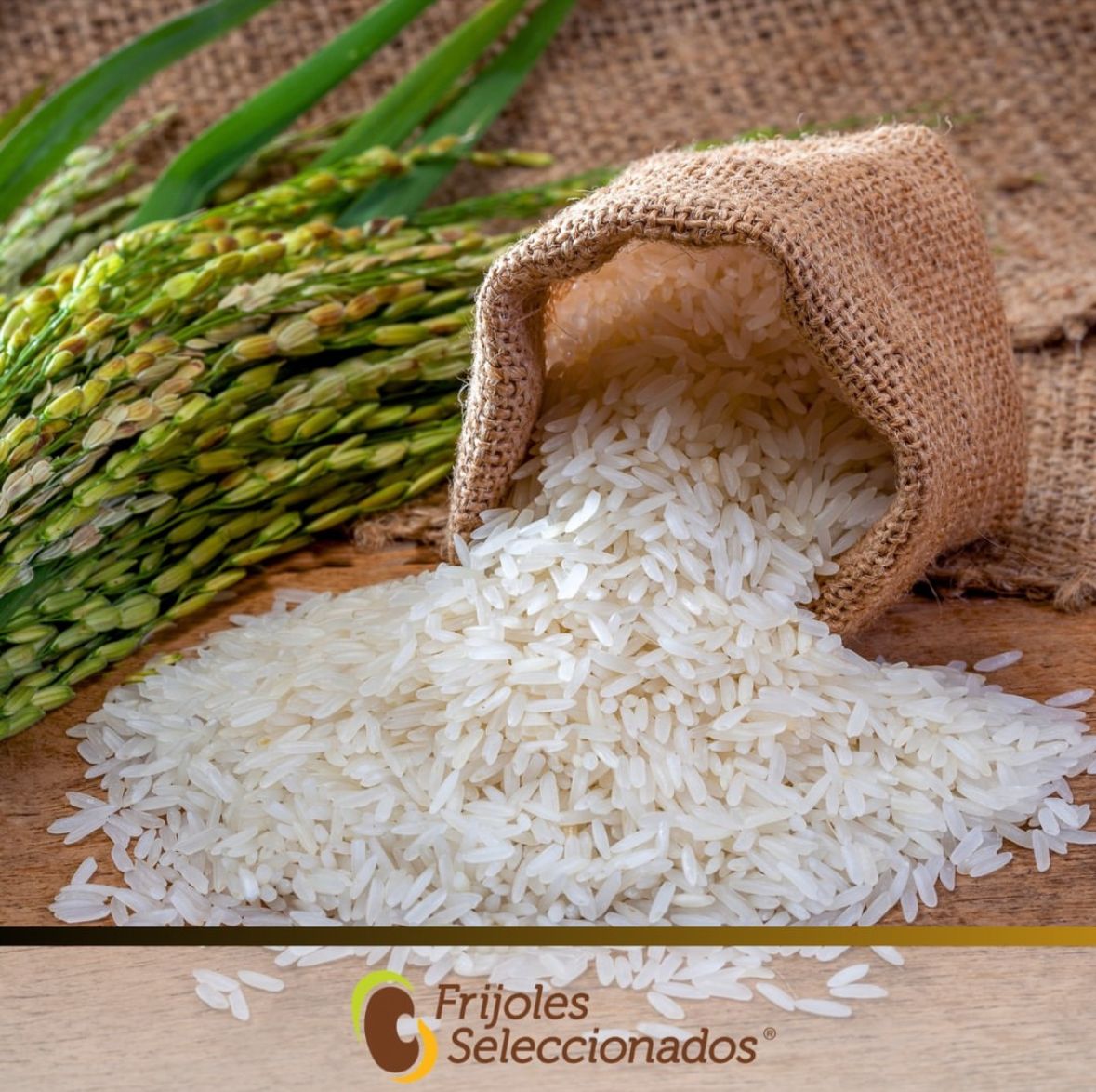 Arroz Super Extra Marca El Paisa 10 Kg - Arroz Grano Largo