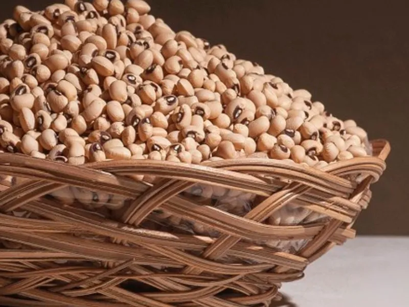 Frijol Yorimuri 10 Kg