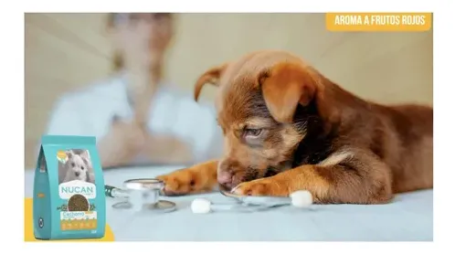 Nucan Cachorro Raza Pequeña 15kg + .900grs De Regalo