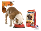 Croqueta Para Perro Nogacan 25 Kg + Regalo Pezuña De Res