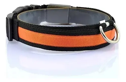 Croquetas Perro Adulto Benny 25 Kg 22% Proteína + Collar G