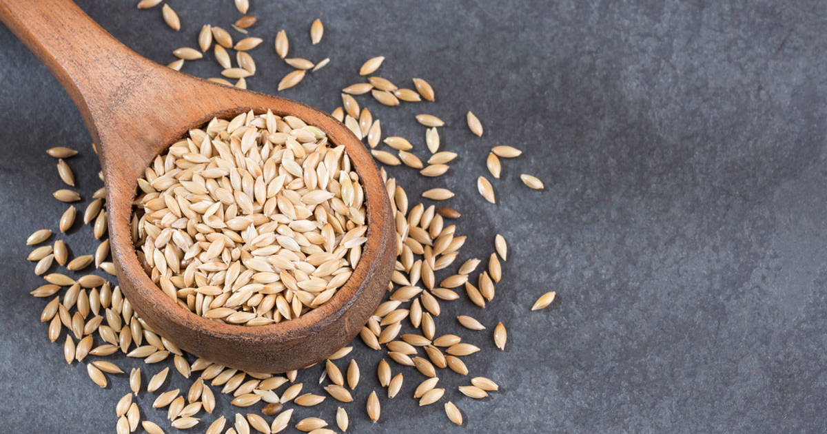 Alpiste Simple Marca Vereda Bulto Con 25 Kg