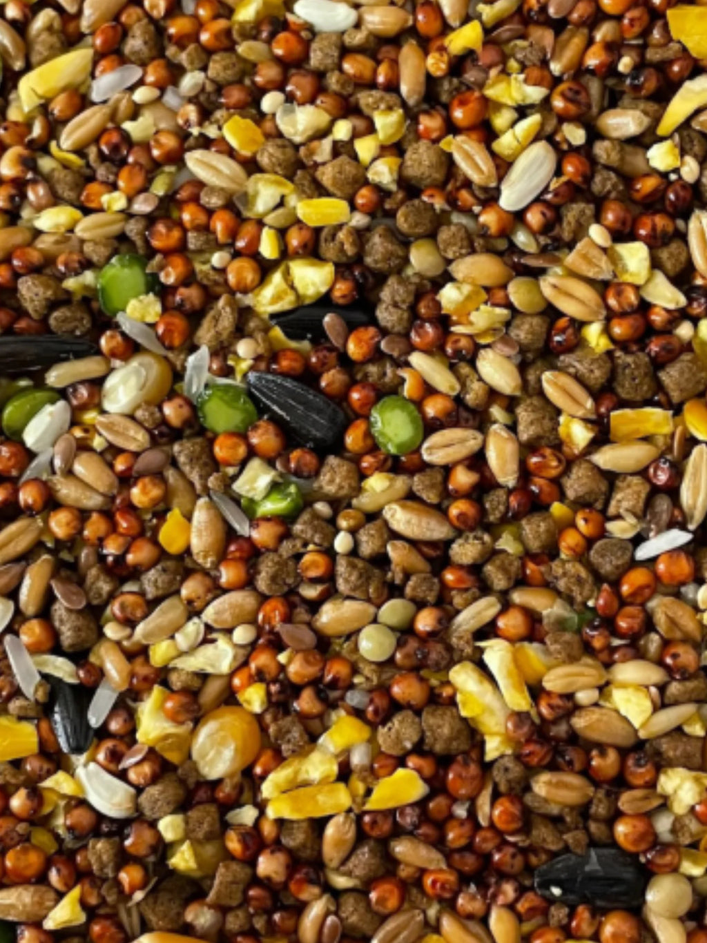 Alimento Semilla Gallo Mantenimiento 10kg Nu-3 15% Proteína