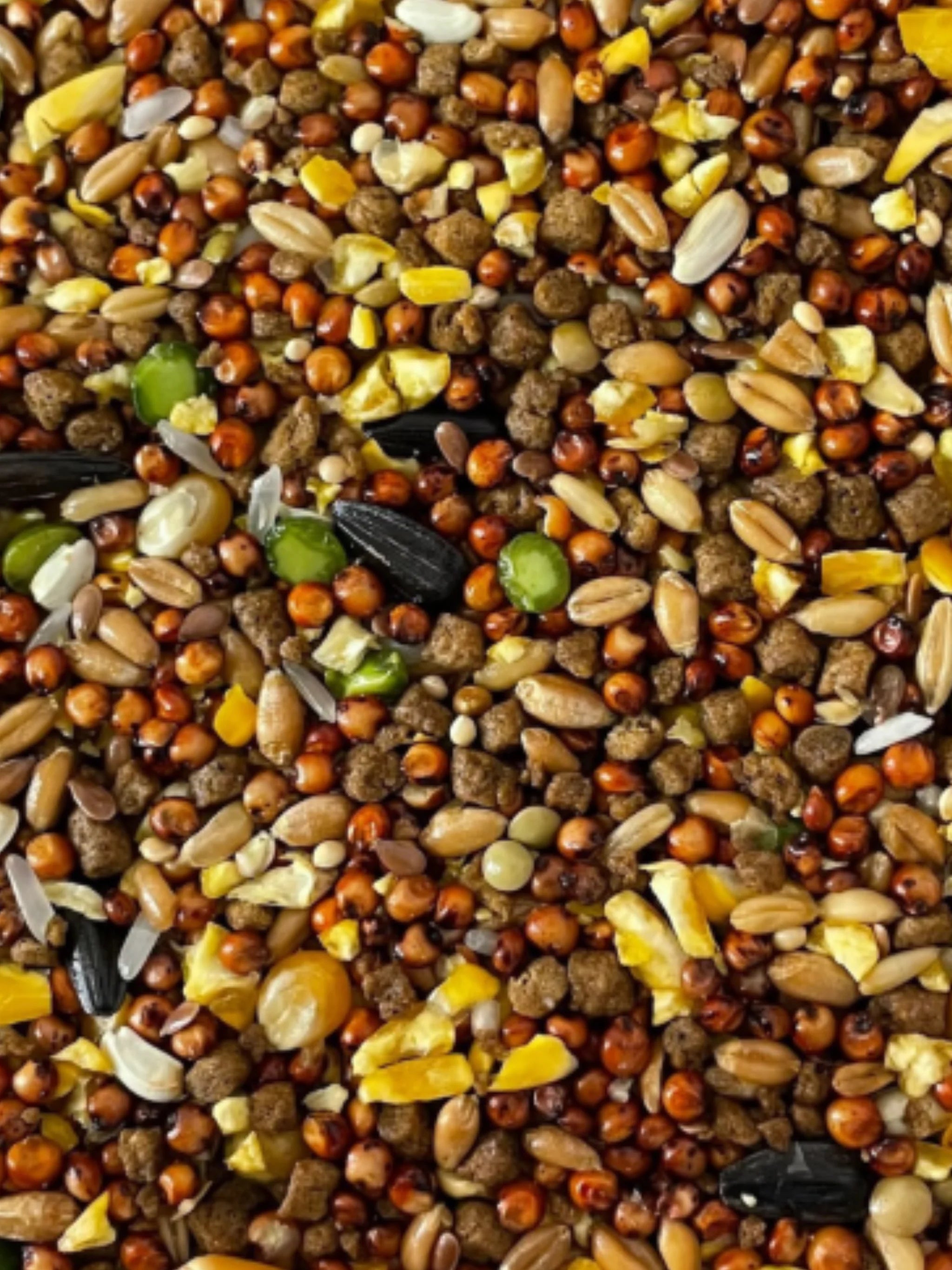 Alimento Semilla Gallo Mantenimiento 10kg Nu-3 15% Proteína